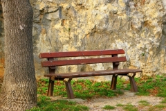 "Will you join me on this bench? I would love to visit with you."   Lyn